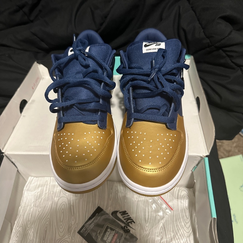 Nike supreme dunks